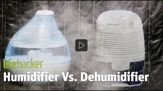 Lifehacker Humidifier and Dehumidifier in the Same Room [upl. by Azila723]