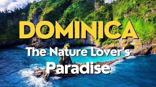 Dominica Travel 2023 🐠 Most Beautiful Places to Visit Majestic Waterfalls Hiking and Diving Spots [upl. by Sassan475]