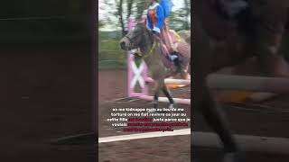 joy poney concoursclub Havanambbdmr [upl. by Dorita]