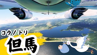 【但馬】赤ちゃん輸送の拠点！コウノトリ但馬空港へ着陸！ フライトシミュレーター msfs2020 着陸 landing 京都 兵庫 旅行 パイロット pilotlife 赤ちゃん [upl. by Ykcir]