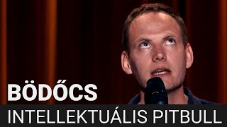 Bödőcs Intellektuális pitbull [upl. by Leasim998]