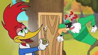 Woody Woodpecker Complete Season 1 Compilation  Cartoons For Kids  WildBrain Max [upl. by Howenstein774]