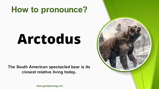 How to pronounce Arctodus Correctly in English [upl. by Eirot]