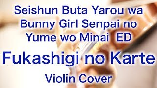 “Fukashigi no Karte” Seishun Buta Yarou wa Bunny Girl Senpai no Yume wo Minai ED Violin Cover [upl. by Bartholomew402]