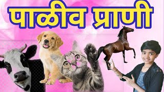 पाळीव प्राणी  प्राण्यांची नावे  paliv prani  domestic animals  animals  pranyanchi nave [upl. by Leopold]