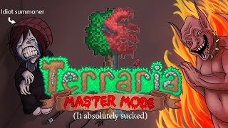 Terraria Summoner Preview [upl. by Akinohs]