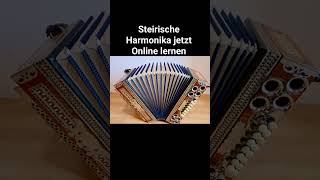 Steirische Harmonika online lernen leicht gemacht [upl. by Assilak]