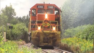 Good Size CBNS Freight Train 306 Rolling thru Murray Siding NS at Decent Speed [upl. by Akemet]