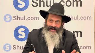 THE RUBASHKIN STORY Life Lessons From Reb Sholom Mordechai  Why Torah amp Mitzvot Are Everything [upl. by Hinckley23]