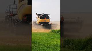 New Holland Combine  Straw Chopper at work in the field [upl. by Aelram]