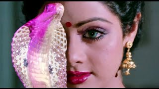 Nagina  Sridevi transformation scene [upl. by Yssirhc54]