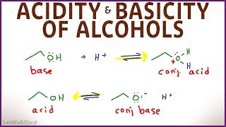 Acidity and Basicity of Alcohols [upl. by Call]