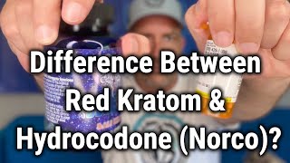 Difference Between Red Kratom Vs Hydrocodone [upl. by Aldous]