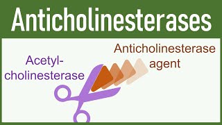 Anticholinesterase Agents Organophosphates amp Carbamates [upl. by Salohcin]