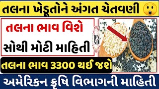 તલના ભાવ વિશે માહિતી  kapas na bhav Commodity Trend  information about coton crop prize [upl. by Louisette]