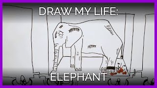 Draw My Life Elephant Edition  PETA [upl. by Ceil]