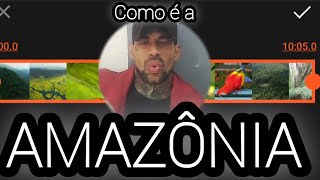 How is Amazon in Brazil como é a AMAZÔNIA no Brasil [upl. by Bixler]