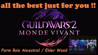 gw2  guide Farm Bois Ancestral  Elder Wood  for easy gold  po [upl. by Arjun]