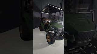 2023 Green Navitas Storm Electric Golf Cart  3036mph Top Speed Brown Seats [upl. by Droflim]