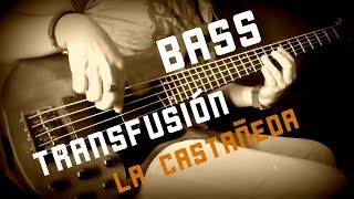 TRANSFUSIÓN LA CASTAÑEDA BAJO BASS COVER [upl. by Huntington]