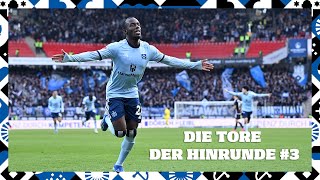 DIE TORE DER HINRUNDE 20232024 3  Spieltage 1217  Highlights im HSVnetradio [upl. by Prisilla973]