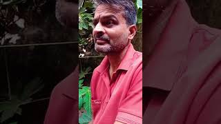 घोर बेज्जती 🤣🤣india comedy lotpotjoke funnyjokes funny kotacomedy fun [upl. by Assirek]