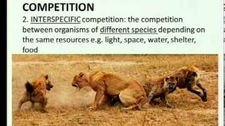 Matric revision Life Sciences Community ecology 25 Types of interactions 25 competition [upl. by Fenn]