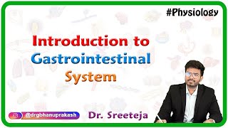 Introduction to Physiology of Gastrointestinal System  USMLE Step 1 [upl. by Vick]