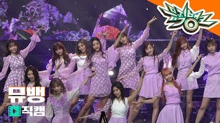 비올레타 Violeta  아이즈원IZONE  190419 뮤직뱅크 직캠 풀캠ver [upl. by Zuzana]