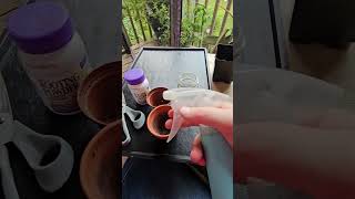 Plant Propagation Tools Overview [upl. by Freida103]