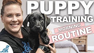 5 Puppy Training WINS You Should Get EVERY Morning [upl. by Yenoh66]