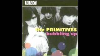 Primitives Crash Andy Kershaw BBC Session 1986 [upl. by Nigle]