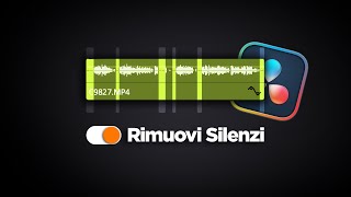 RIMUOVI I SILENZI IN AUTOMATICO con DaVinci Resolve 19 [upl. by Nanine]