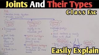 Joints Lecture Fully Explained  Ball And Socket And Hinge Joints  Class 12 Urdu Hindi [upl. by Farrell]