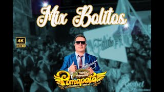 NUEVA EXPRESION POMAPATA  Mix Bolitos 2024 [upl. by Breeze]