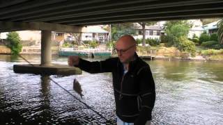 Maribyrnong River Bream  Part 2 [upl. by Stead]