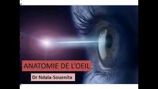 OPHTALMOLOGIE ANATOMIE DE L’OEIL [upl. by Clougher]