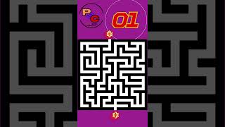 8 Second Maze 14 [upl. by Hui]