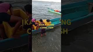 IKAN KARANG TANGKAPAN PUKAT TRADISIONALFISH CORAL PART  1 [upl. by Derdlim]