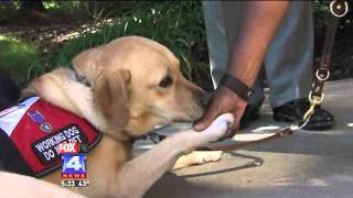 Service Dog Helps Veteran with PTSD [upl. by Loella]