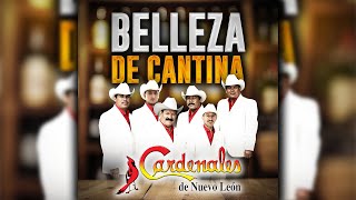 BELLEZA DE CANTINA  Los Cardenales de Nuevo León Official Audio [upl. by Mafala]