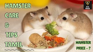 Hamster care and tips tamil PETSPSYCHO [upl. by Anaeerb827]