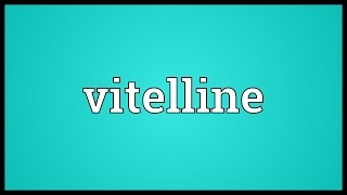 Vitelline Meaning [upl. by Naimed]