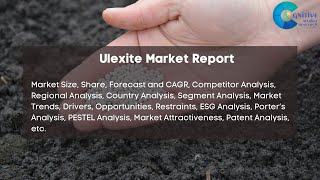 Ulexite Market Report 2024  Forecast Market Size Growth Trends [upl. by Enelloc75]