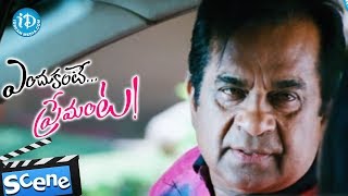 Brahmanandam Nice Comedy Scene  Endukante Premante [upl. by Hamlen211]