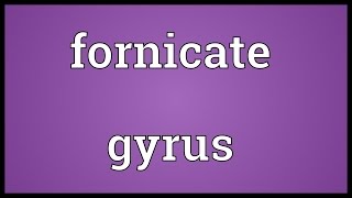 Fornicate gyrus Meaning [upl. by Radack354]