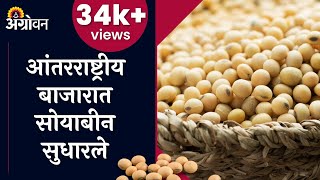 Soybean Rate  सोयाबीनसह सोयातेल सोयापेंडच्या दरात वाढ  Agrowon  ॲग्रोवन [upl. by Ravens]