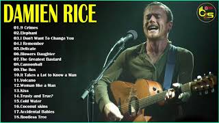 Damien Rice Greatest Hits  Best Of Damien Rice [upl. by Lem842]