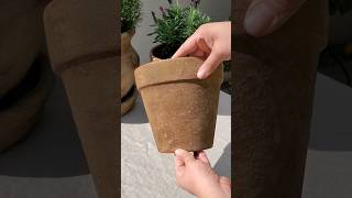 Aging Terracotta Pots with Garden Lime diyprojects gardeningtips terracottapots diy [upl. by Kennett]