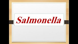 Classification of salmonella medically important species quotMedical microbiology [upl. by Labana545]